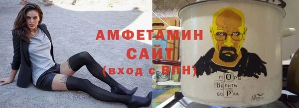 индика Няндома