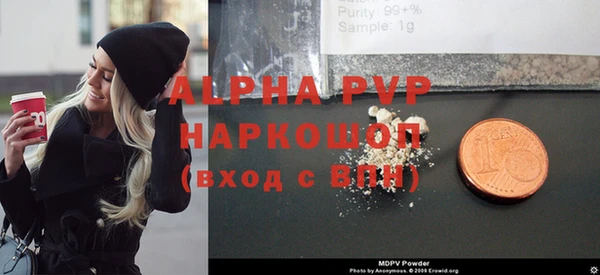 индика Няндома