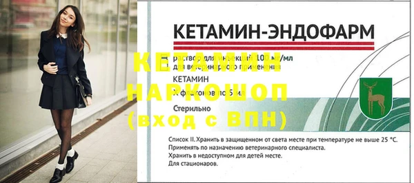 индика Няндома