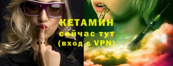индика Няндома
