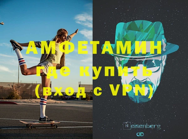 индика Няндома