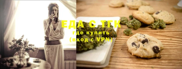 индика Няндома