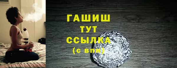 индика Няндома