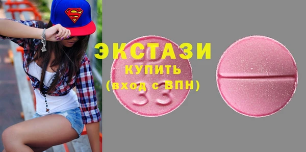 индика Няндома