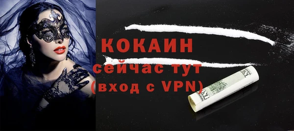 индика Няндома