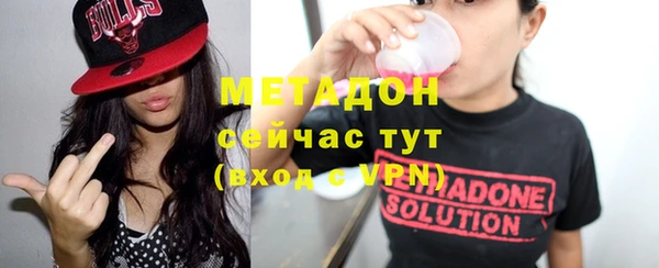 индика Няндома