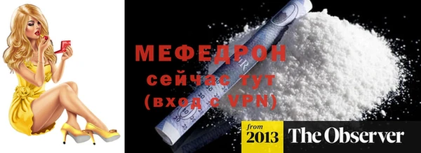 индика Няндома