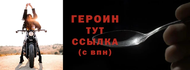 индика Няндома