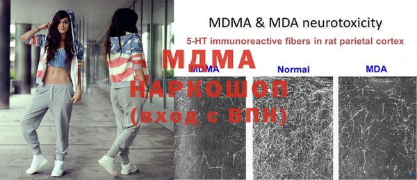 индика Няндома