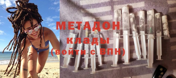 индика Няндома