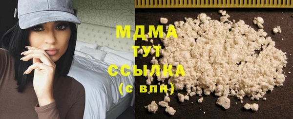 индика Няндома