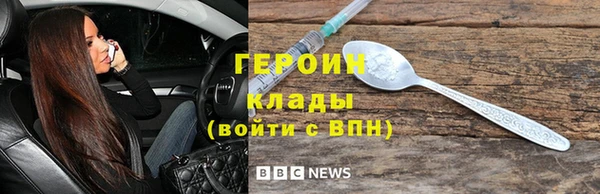 индика Няндома