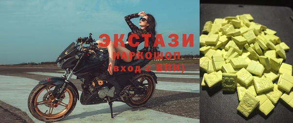 индика Няндома