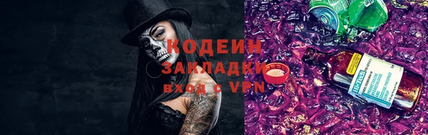 индика Няндома
