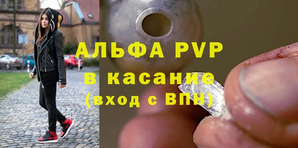 индика Няндома