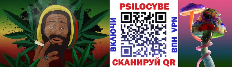 Галлюциногенные грибы Psilocybine cubensis  Купить  Саяногорск 