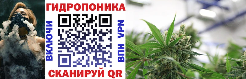 Шишки марихуана VHQ Саяногорск